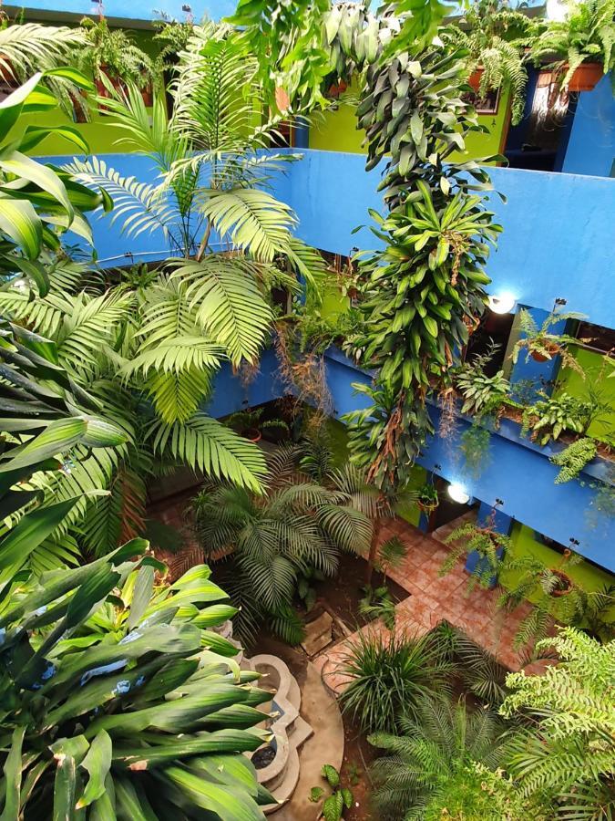 Hotel Kasa Kamelot 2 Quetzaltenango Ngoại thất bức ảnh