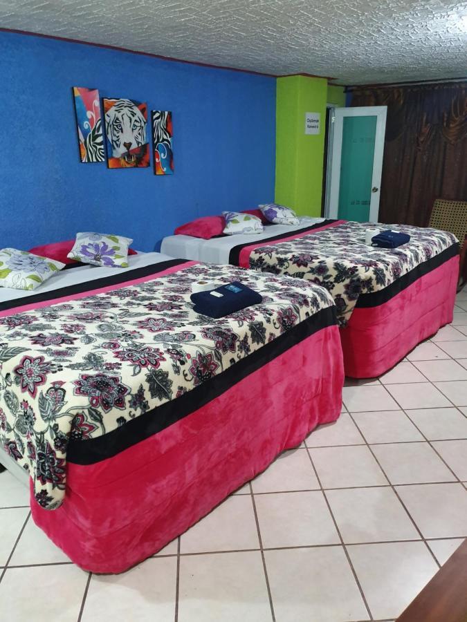 Hotel Kasa Kamelot 2 Quetzaltenango Ngoại thất bức ảnh